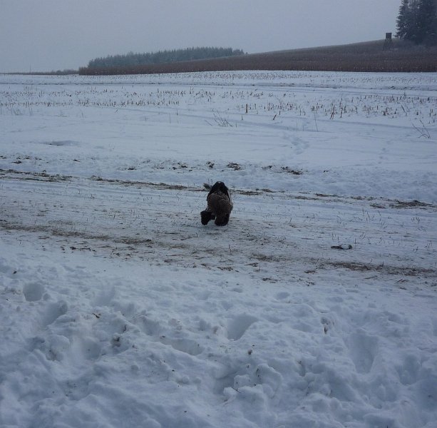 hon_konopiste (58).jpg